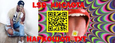 прущие крисы Будённовск