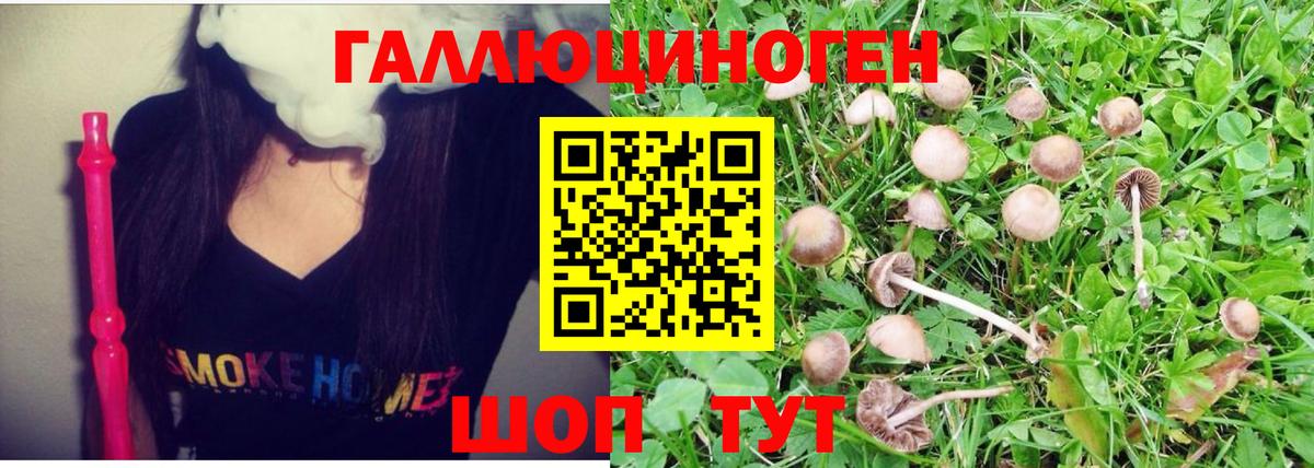 Псилоцибиновые грибы MAGIC MUSHROOMS  Вход с VPN  Березники 